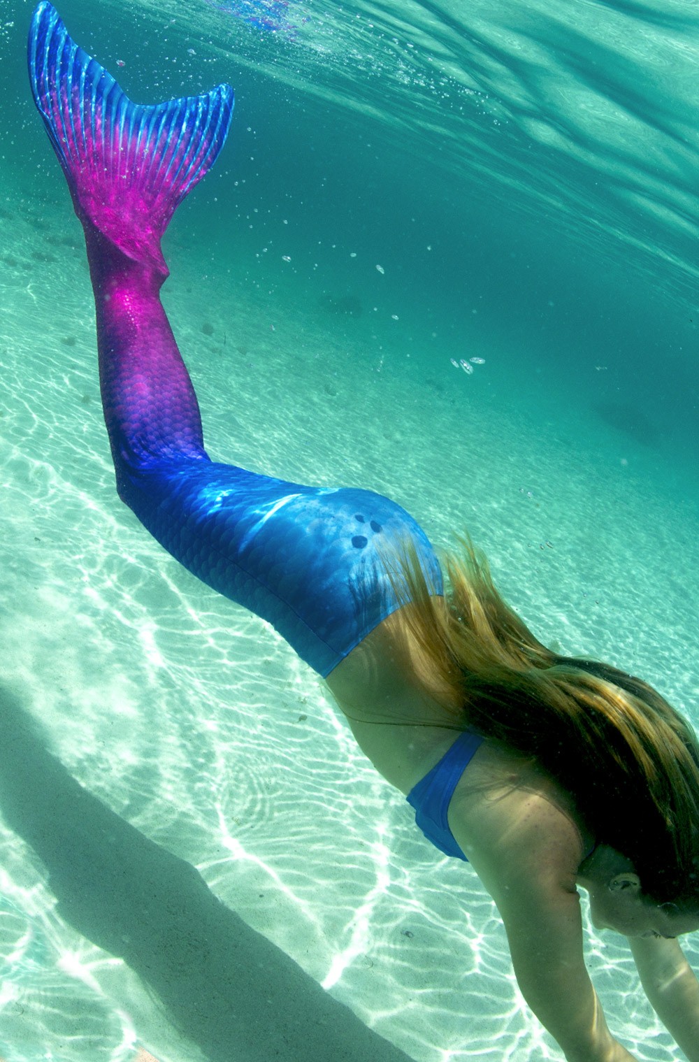 maui-splash-mermaid-tail-limited-edition-finfriends