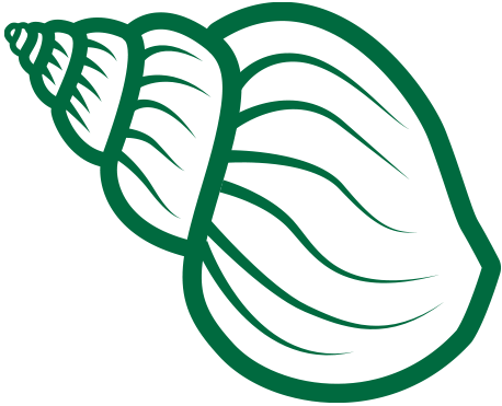 brynn-shell-2 – FinFriends