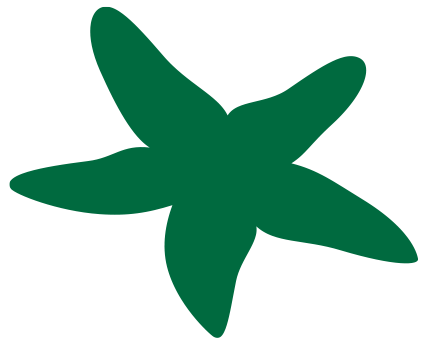 brynn-starfish