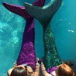 Fin Fun mermaid tails